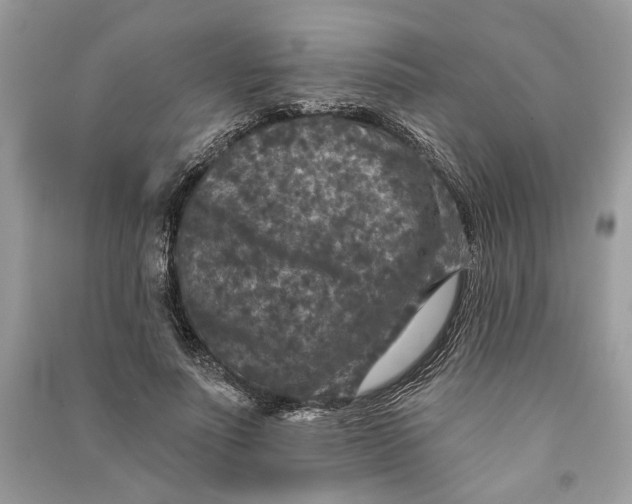 X0000090730691200708101640