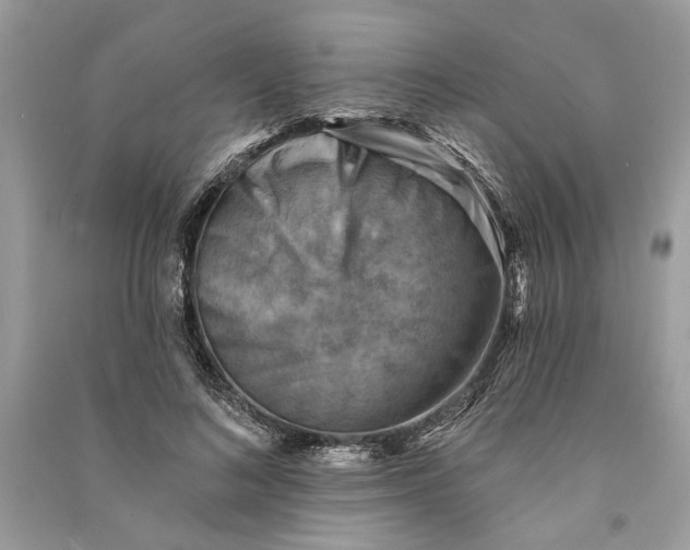 X0000090730692200708101640