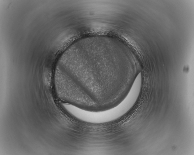 X0000090730693200708101640