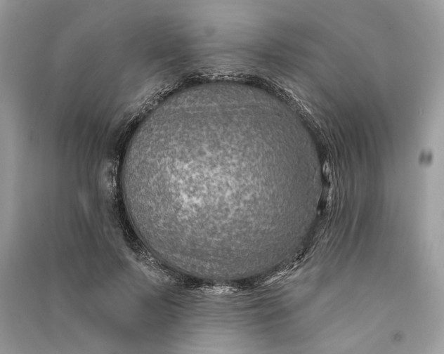 X0000090730695200708101640