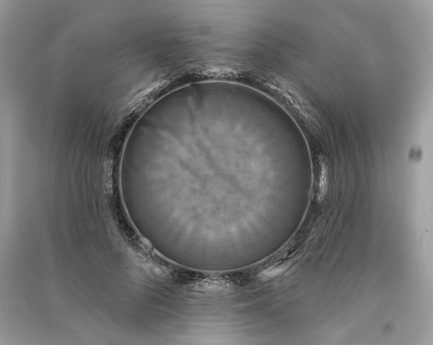 X0000090730696200708101640