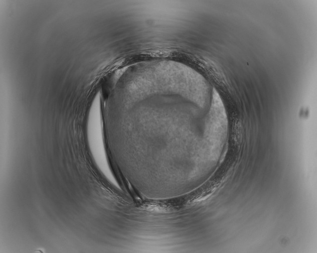 X0000090730697200708101640