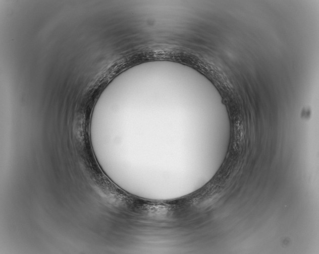 X0000090730698200708101640