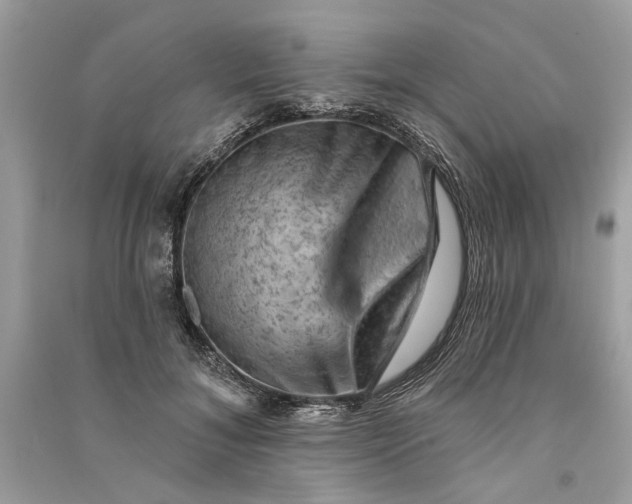 X0000090730700200708101640