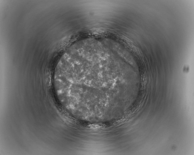 X0000090730703200708101640