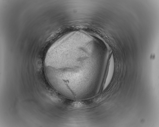 X0000090730704200708101640