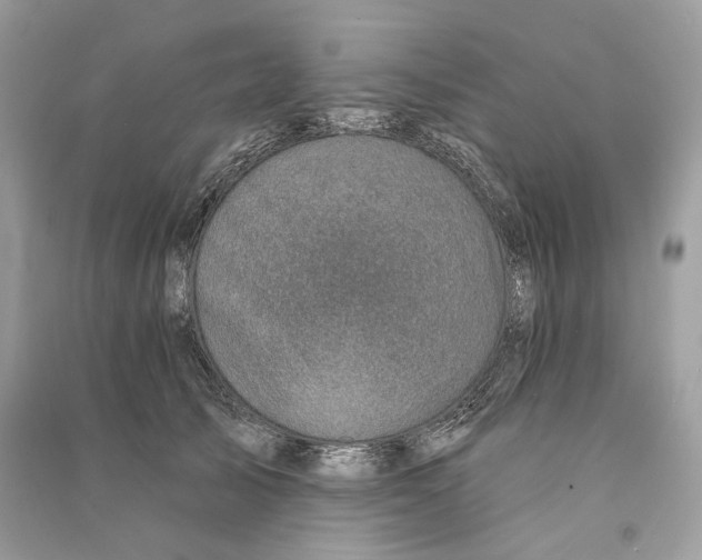 X0000090730705200708101640