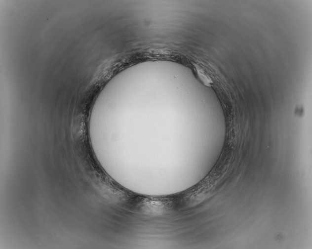 X0000090730706200708101640