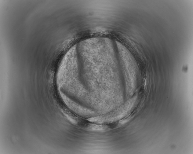 X0000090730708200708101640