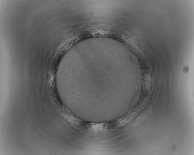 X0000090730709200708101640