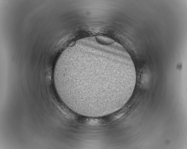 X0000090730710200708101640