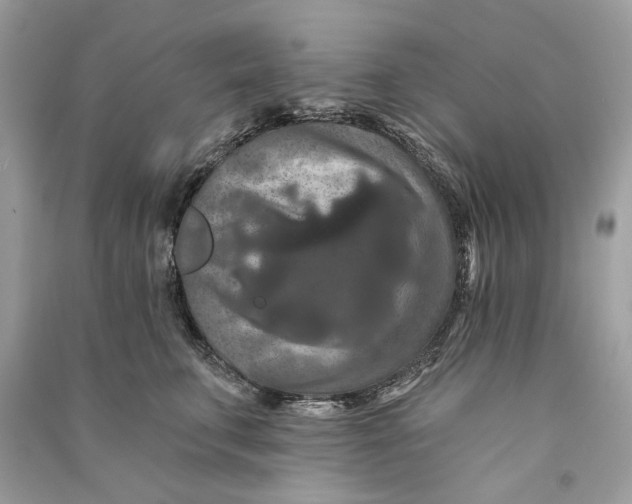 X0000090730711200708101640