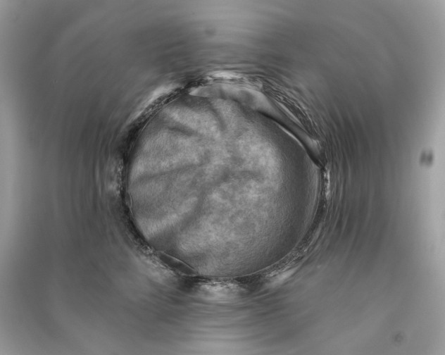 X0000090730712200708101640