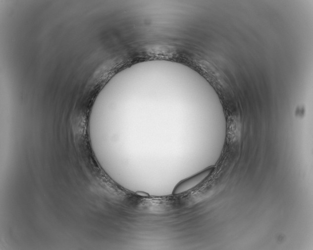 X0000090730713200708101640