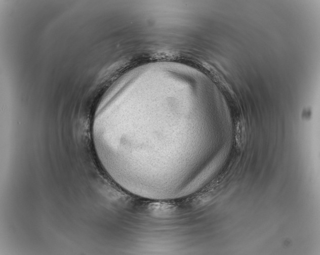 X0000090730714200708101640