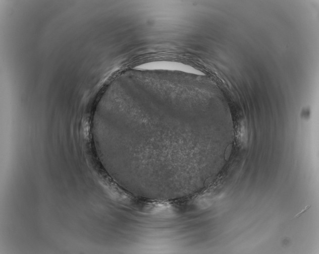 X0000090730715200708101640