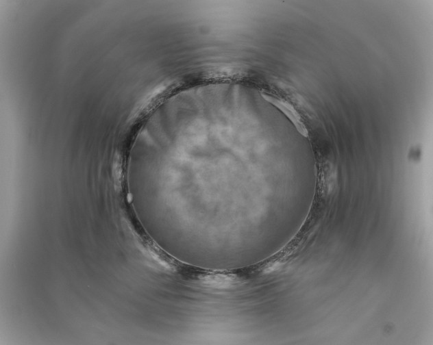 X0000090730716200708101640