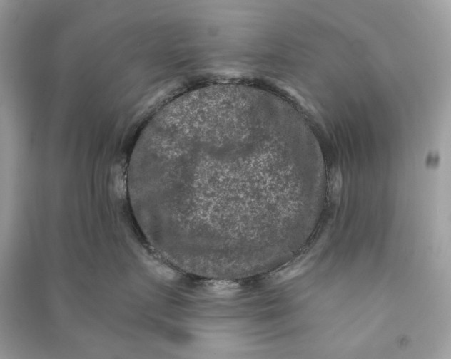 X0000090730719200708101640