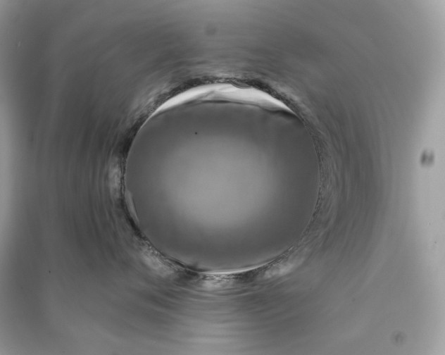 X0000090730720200708101639