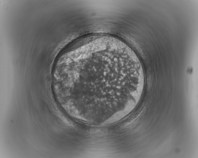 X0000090730721200708101639