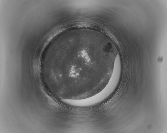 X0000090730722200708101639