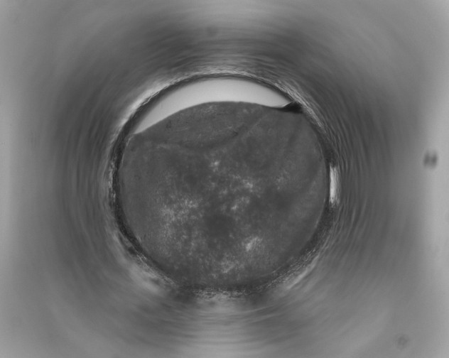 X0000090730723200708101639