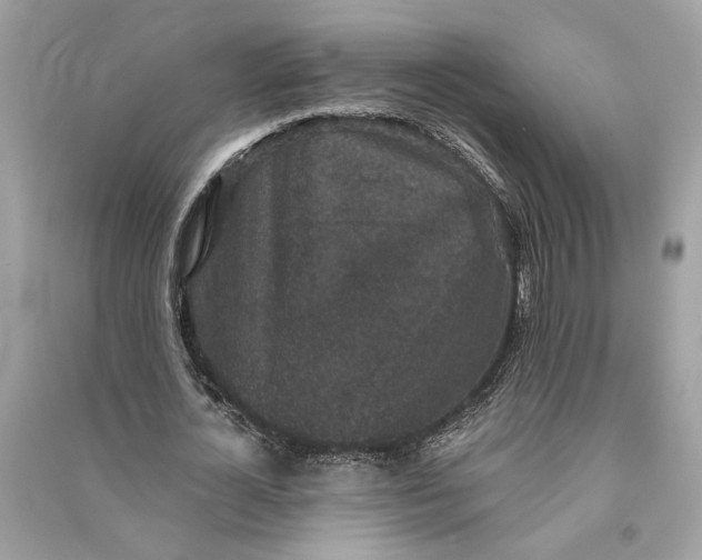 X0000090730724200708101639