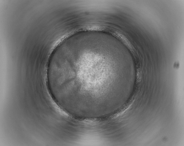 X0000090730725200708101639