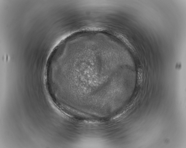 X0000090730726200708101639