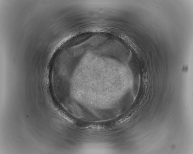 X0000090730727200708101639