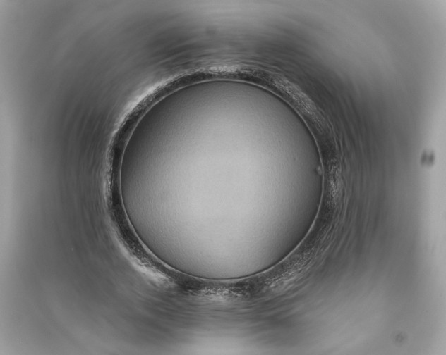 X0000090730728200708101639