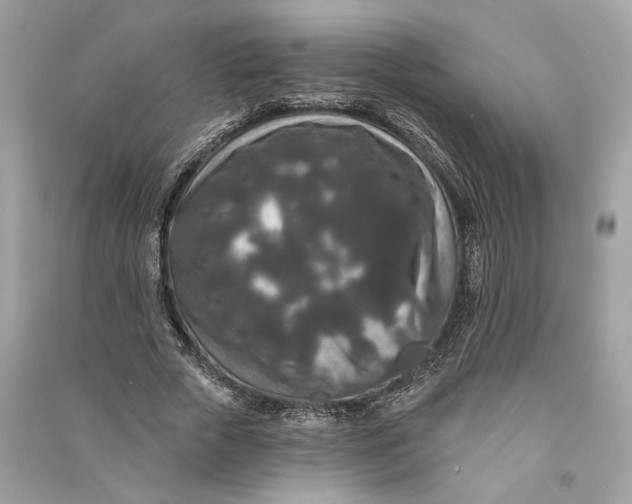 X0000090730729200708101639