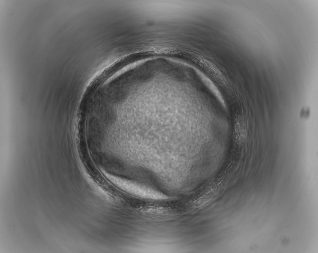 X0000090730730200708101639