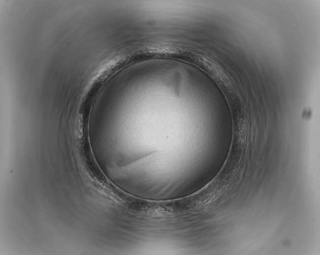 X0000090730731200708101639