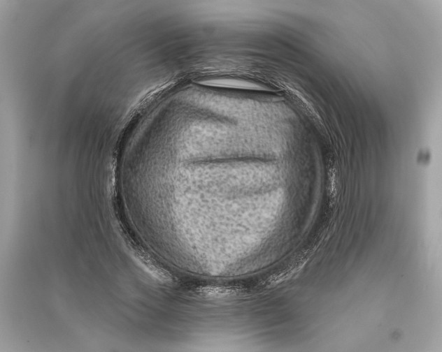 X0000090730733200708101639