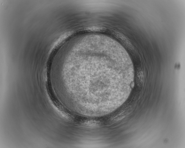 X0000090730734200708101639