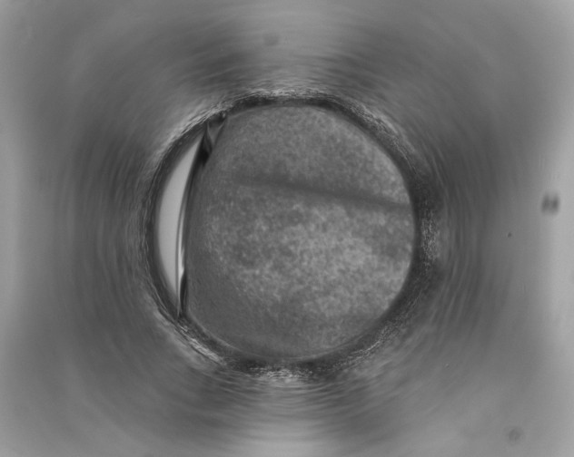 X0000090730735200708101639