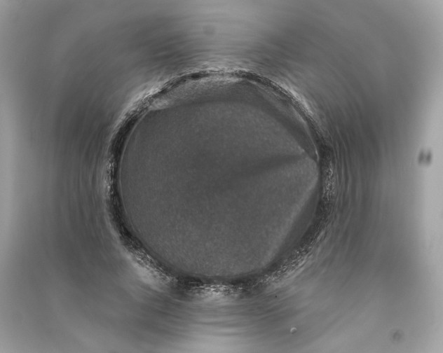 X0000090730736200708101639