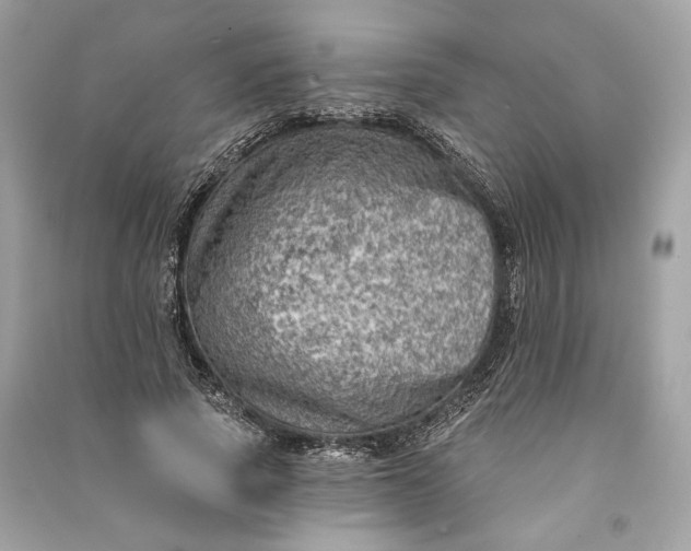 X0000090730737200708101639