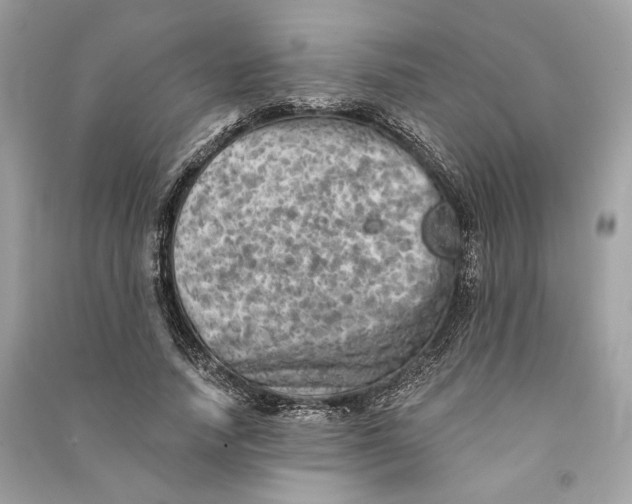 X0000090730738200708101639