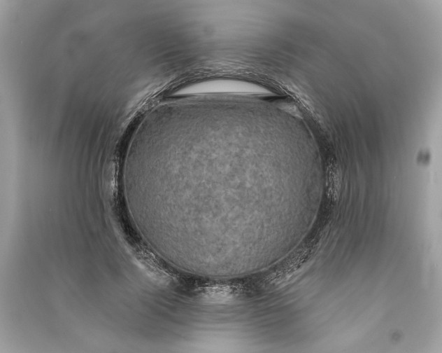 X0000090730740200708101639