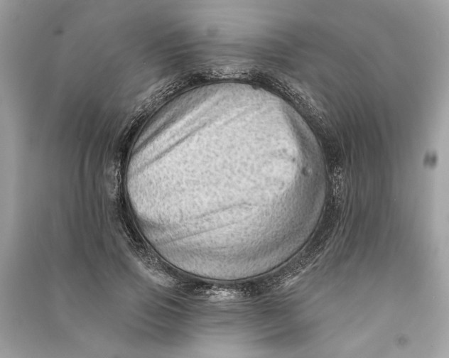 X0000090730741200708101639