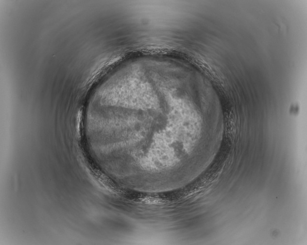 X0000090730742200708101639