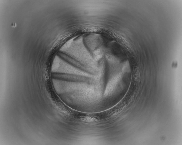 X0000090730743200708101639