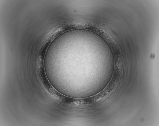 X0000090730744200708101639