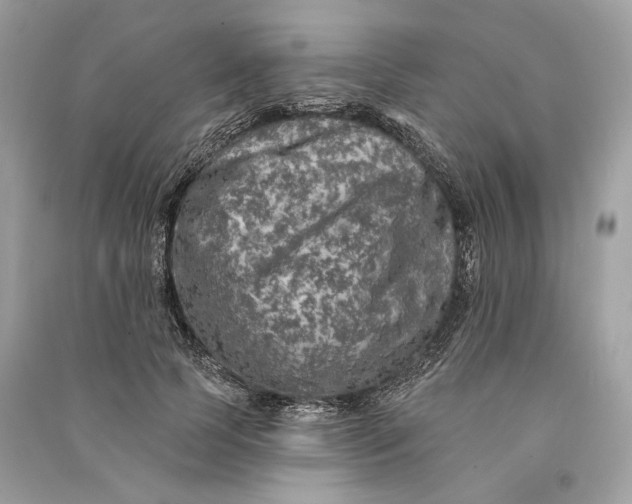 X0000090730745200708101639