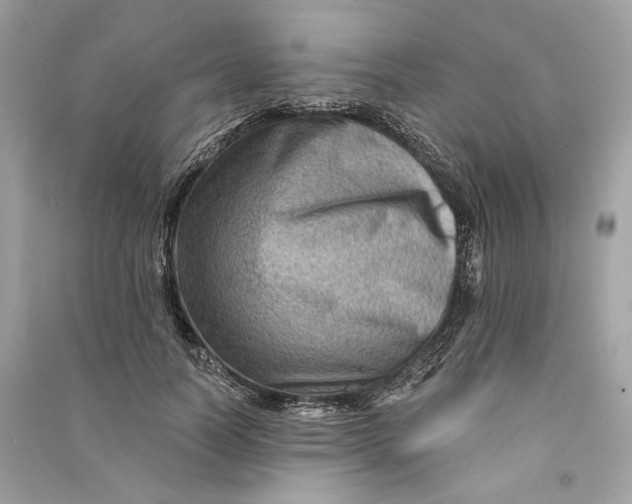 X0000090730746200708101639