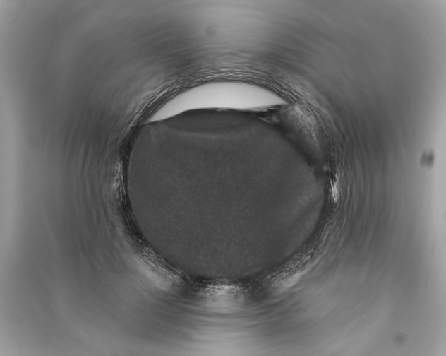 X0000090730748200708101639