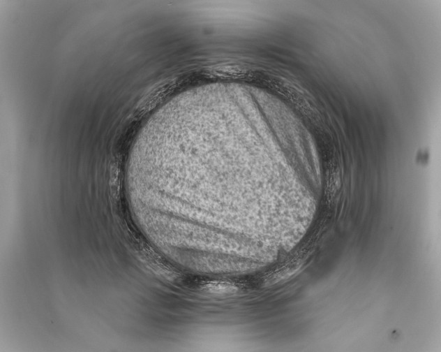 X0000090730749200708101639