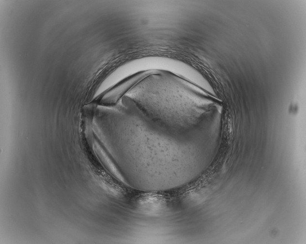 X0000090730750200708101639